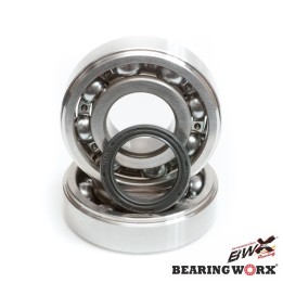 BEARING WORX łożyska wału korbowego z uszczelaniaczami kawasaki kx 125 88-07 (ntn) (made in japan) (24-1008)