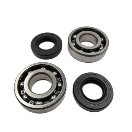 BEARING WORX łożyska wału korbowego z uszczelniaczami kawasaki kfx 80 '03-'06, suzuki LT-80 '87-'06 (ntn) (made in japan) (24-1…