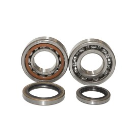 BEARING WORX łożyska wału korbowego sherco se-r 250 2T 14-16, se-r 300 2T 14-16 (ntn) (made in japan)