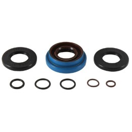 ALL BALLS zestaw (komplet) uszczelniaczy skrzyni biegów polaris ranger tm 700 '04-'06