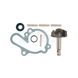 V parts (VICMA) zestaw naprawczy pompy wody AM6 (aprilia 50, mbk 50, yamaha dt/tzr 50)) (6216)