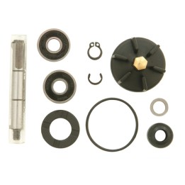 Tecnium (VICMA) zestaw naprawczy pompy wody derbi GP1 50, gilera runner 50, piaggio nrg 50, quartz 50, zip 50 (6217)