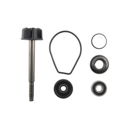 Tecnium (VICMA) zestaw naprawczy pompy wody yamaha yp 400 MAJESTY`04-08 (8004)