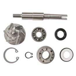 V parts (VICMA) zestaw naprawczy pompy wody honda fes 125 pantheon, ses 125 dylan, sh 125 scoopy (8663)