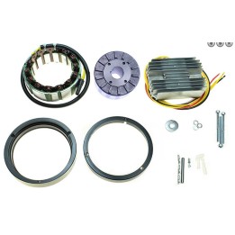 ELECTREX cewki alternatora i regulator napięcia bmw wszystkie silniki boxer '70-'95 (107 mm) - na zamówienie
