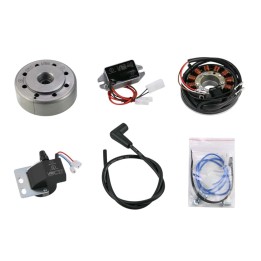 VAPE 2026/03 ignition set ktm penton