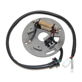 ELECTROSPORT uzwojenie alternatora (stator) yamaha yz 250 '90-'95, wr 250 '90-'97