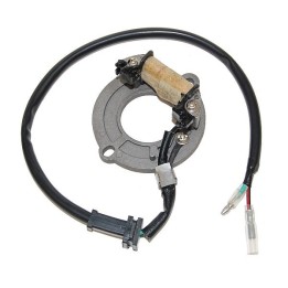 ELECTROSPORT uzwojenie alternatora (stator) honda cr 80 '83-'02, 85 '03-'04