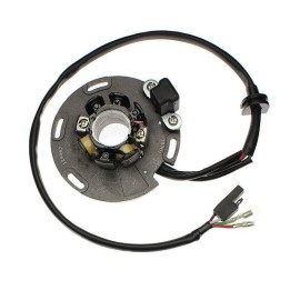 ELECTROSPORT uzwojenie alternatora (stator) suzuki rm 125 '92-'95, 250 '94-'95