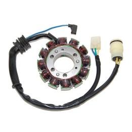 ELECTROSPORT uzwojenie alternatora (stator) ze światłami honda trx 300FW fourtrax (88-00) (12 biegunowy)
