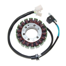 ELECTROSPORT uzwojenie alternatora (stator) yamaha yzf 600R thunder cat (95-07)