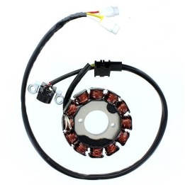 ELECTROSPORT uzwojenie alternatora (stator) yamaha WR450F '04-'11 (z impulsatorem)