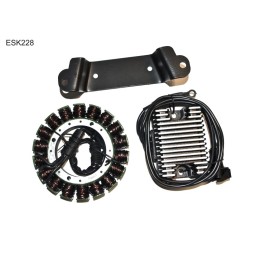 ELECTROSPORT uzwojenie alternatora (stator) kit hd, harley davidson evo touring (97-98)