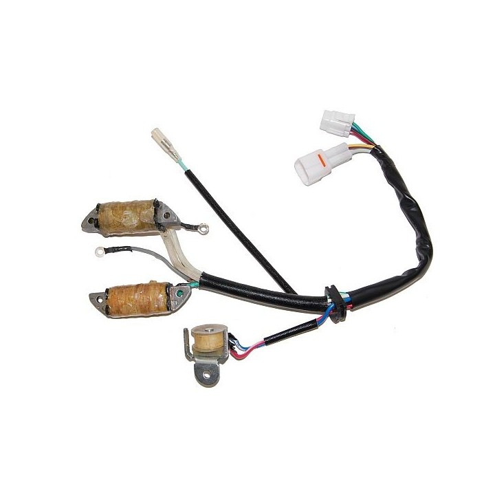 ELECTROSPORT uzwojenie alternatora (stator) ze światłami yamaha yfm 50 raptor (04-08), grizzly (05-06), yfm 80 badger (92-00),…
