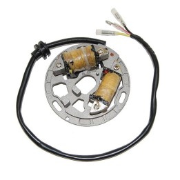 ELECTROSPORT uzwojenie alternatora (stator) ze światłami kawasaki kdx 200 (89-05), kdx 220R (97-05)