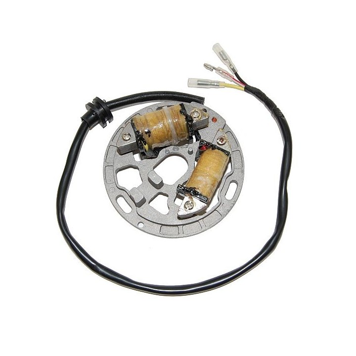 ELECTROSPORT uzwojenie alternatora (stator) ze światłami kawasaki kdx 200 (89-05), kdx 220R (97-05)