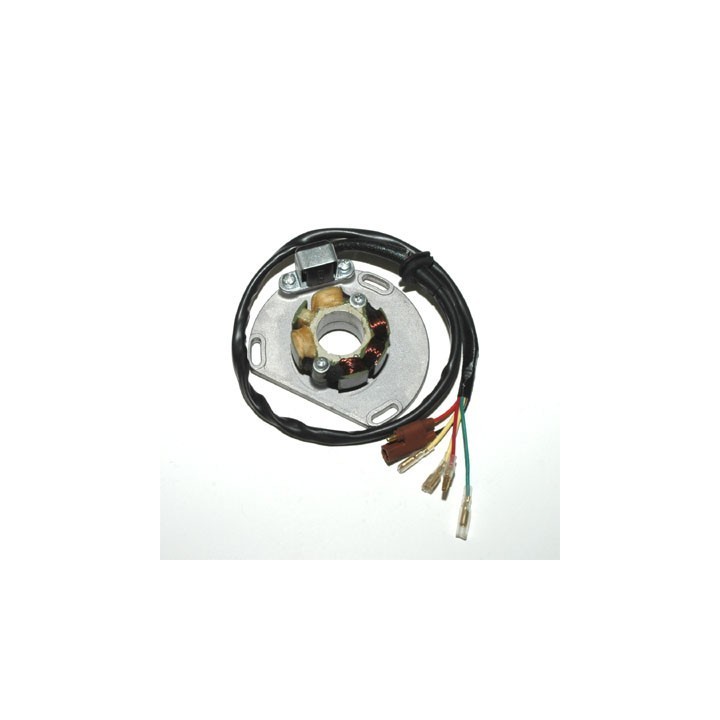 ELECTROSPORT uzwojenie alternatora (stator) ze światłami ktm (50W) (z płytą i impulsatorem) sx/exc 125 98-05, SX/EXC250 97-05,…