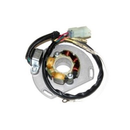 ELECTROSPORT uzwojenie alternatora (stator) ze światłami ktm 125/200/250/300 exc/sx/xc 06- (50W) komplet z płytą i impulsatorem
