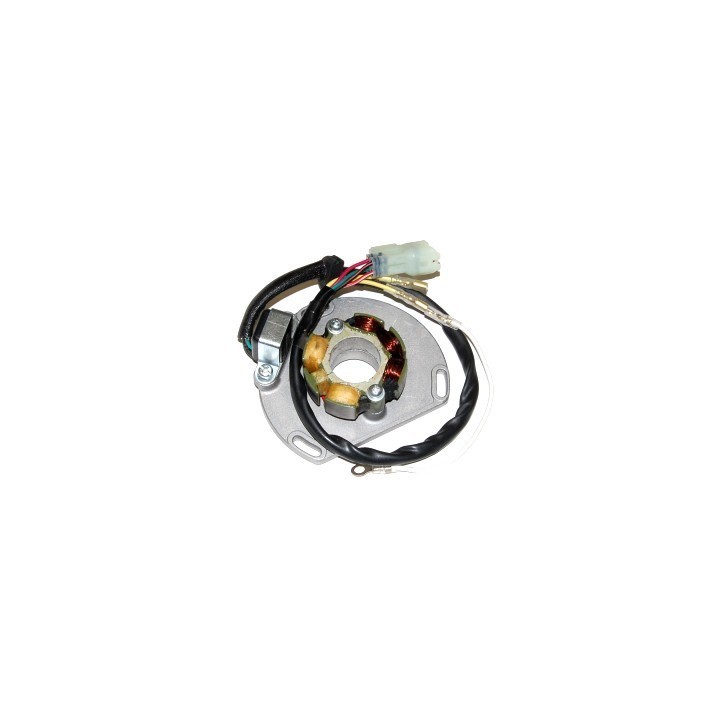 ELECTROSPORT uzwojenie alternatora (stator) ze światłami ktm 125/200/250/300 exc/sx/xc 06- (50W) komplet z płytą i impulsatorem