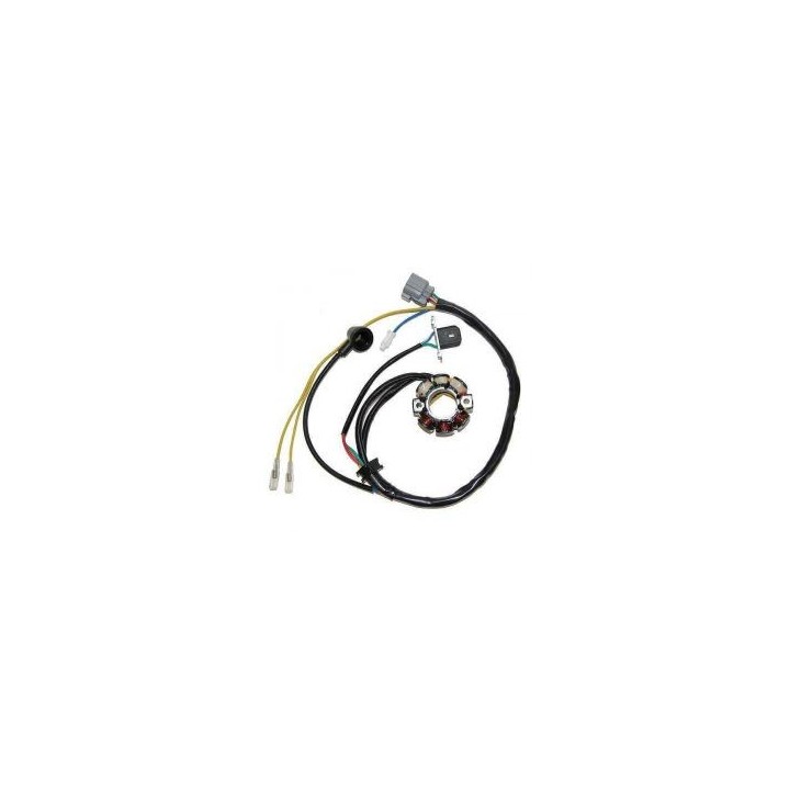 ELECTROSPORT uzwojenie alternatora (stator) ze światłami kawasaki kxf 250 (05-10), suzuki rmz 250 (05-06) (z impulsatorem) (50W)