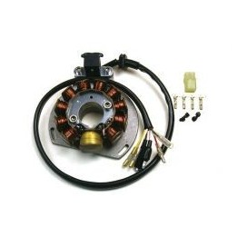 ELECTREX uzwojenie alternatora stator ktm EXC 125/200/300/380, egs 125/200 '98-'00 (84X29X14 mm), gas gas