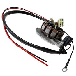 ELECTREX uzwojenie alternatora stator kpl. z regulatorem napięcia ktm/gas gas 125 '03-'04, 200 '00-'04, ec 250 '00-'04, ec 300…