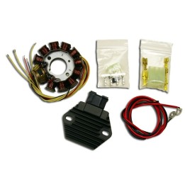 ELECTREX uzwojenie alternatora stator kpl. z regulatorem napięcia ktm EXC 2T 250 '08-'17 EXC 300 '08-'15, freeride 250 '14, EXC…
