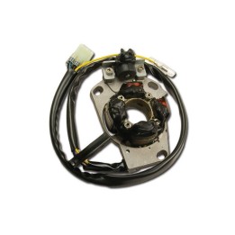 ELECTREX uzwojenie alternatora (stator) ze światłami yamaha yz 125 '05-'20