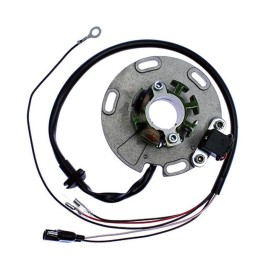 ELECTREX uzwojenie alternatora (stator) TM125/250 '00- , TM85 '02