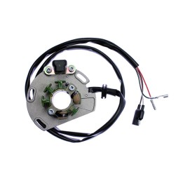 ELECTREX uzwojenie alternatora (stator) gas gas ec 125, EC250