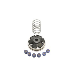 PARMAKIT wariator kompletny aprilia scarabeo 100 2T