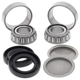 ALL BALLS zestaw naprawczy wahacza can-am / suzuki lta 500F '02-'07, ltf 500F vinson '03-'07