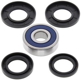 ALL BALLS łożyska koła tylnego z uszczelniaczami cf moto cf glory, cf 150T charm, cfe jewel, honda cn 250 86-07, nss 250 01-07,…