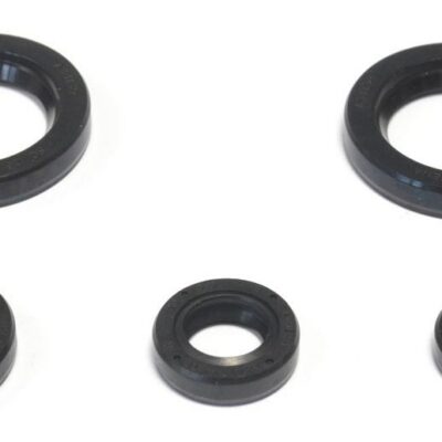 ATHENA KOMPLET (ZESTAW) USZCZELNIACZY SILNIKOWYCH KTM DUKE 125 '11-16, DUKE 200 '12-16, RC 200 '15-16 - widok alternatywny